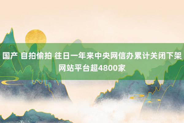 国产 自拍偷拍 往日一年来中央网信办累计关闭下架网站平台超4800家