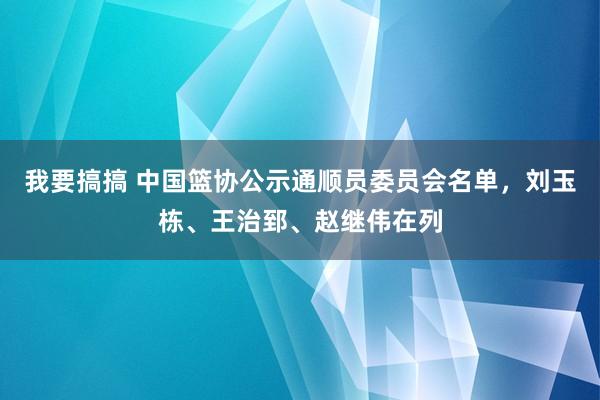 我要搞搞 中国篮协公示通顺员委员会名单，刘玉栋、王治郅、赵继伟在列