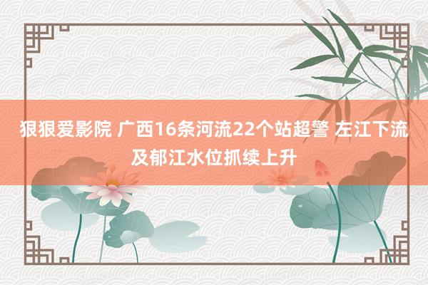 狠狠爱影院 广西16条河流22个站超警 左江下流及郁江水位抓续上升