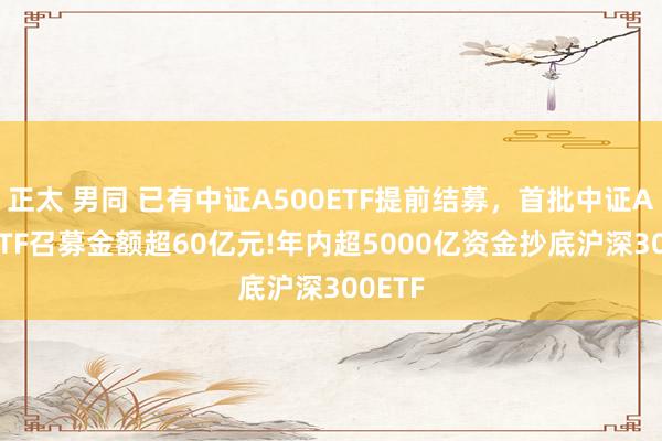 正太 男同 已有中证A500ETF提前结募，首批中证A500ETF召募金额超60亿元!年内超5000亿资金抄底沪深300ETF