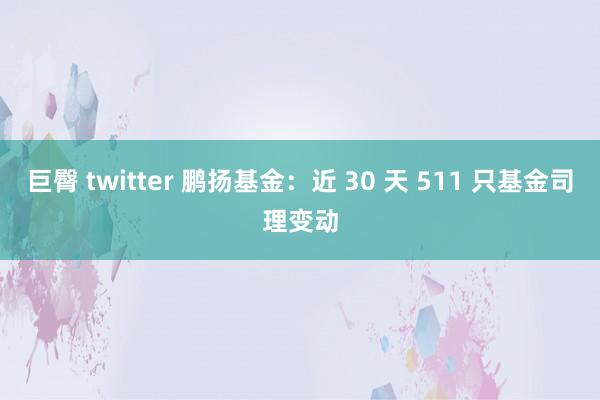 巨臀 twitter 鹏扬基金：近 30 天 511 只基金司理变动