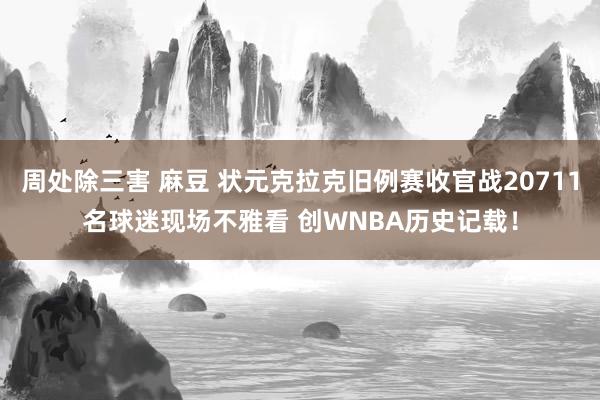 周处除三害 麻豆 状元克拉克旧例赛收官战20711名球迷现场不雅看 创WNBA历史记载！