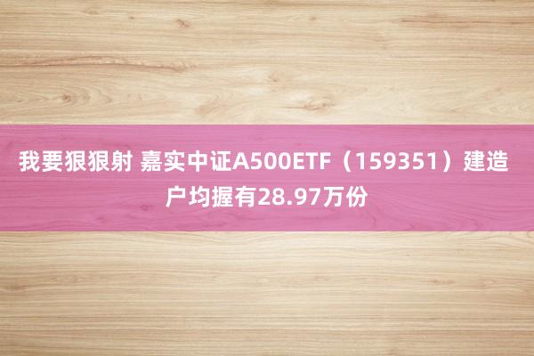 我要狠狠射 嘉实中证A500ETF（159351）建造 户均握有28.97万份