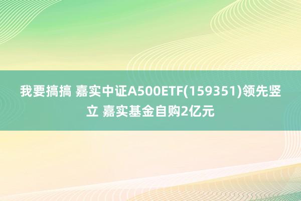 我要搞搞 嘉实中证A500ETF(159351)领先竖立 嘉实基金自购2亿元