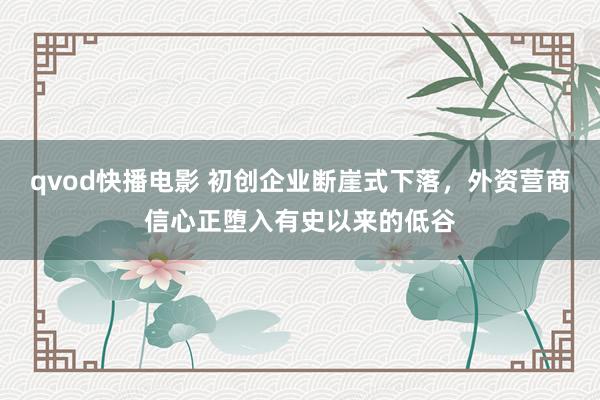 qvod快播电影 初创企业断崖式下落，外资营商信心正堕入有史以来的低谷