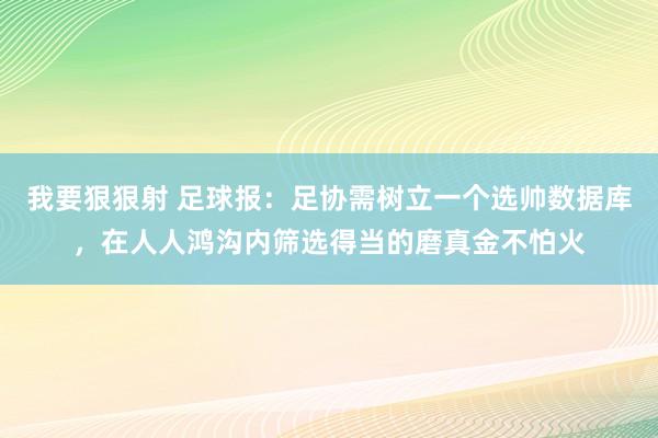 我要狠狠射 足球报：足协需树立一个选帅数据库，在人人鸿沟内筛选得当的磨真金不怕火