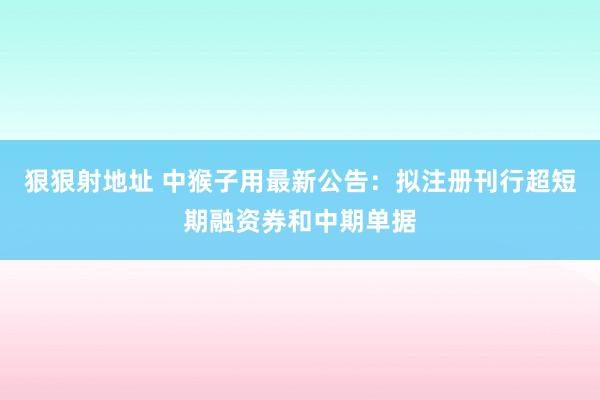 狠狠射地址 中猴子用最新公告：拟注册刊行超短期融资券和中期单据