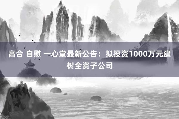 高合 自慰 一心堂最新公告：拟投资1000万元建树全资子公司