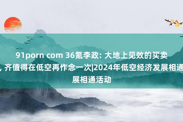 91porn com 36氪李政: 大地上见效的买卖模式， 齐值得在低空再作念一次|2024年低空经济发展相通活动