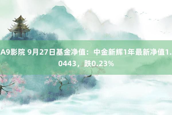 A9影院 9月27日基金净值：中金新辉1年最新净值1.0443，跌0.23%