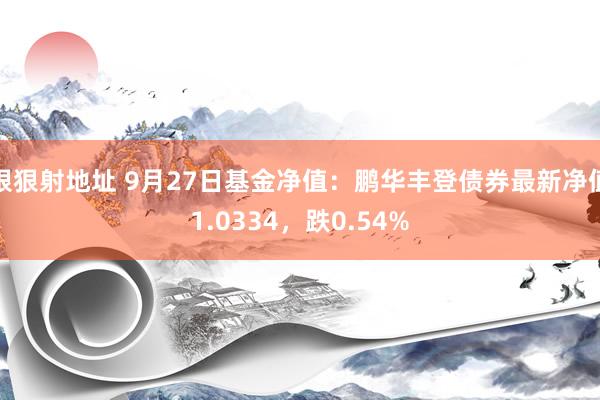 狠狠射地址 9月27日基金净值：鹏华丰登债券最新净值1.0334，跌0.54%