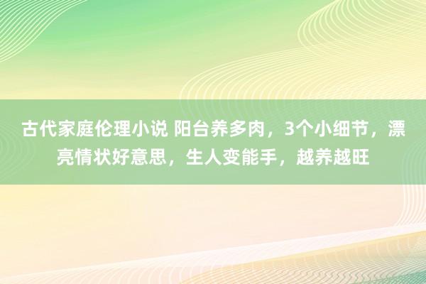 古代家庭伦理小说 阳台养多肉，3个小细节，漂亮情状好意思，生人变能手，越养越旺