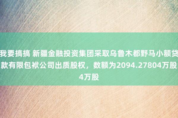 我要搞搞 新疆金融投资集团采取乌鲁木都野马小额贷款有限包袱公司出质股权，数额为2094.27804万股