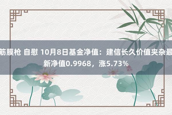 筋膜枪 自慰 10月8日基金净值：建信长久价值夹杂最新净值0.9968，涨5.73%