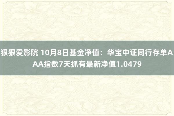 狠狠爱影院 10月8日基金净值：华宝中证同行存单AAA指数7天抓有最新净值1.0479