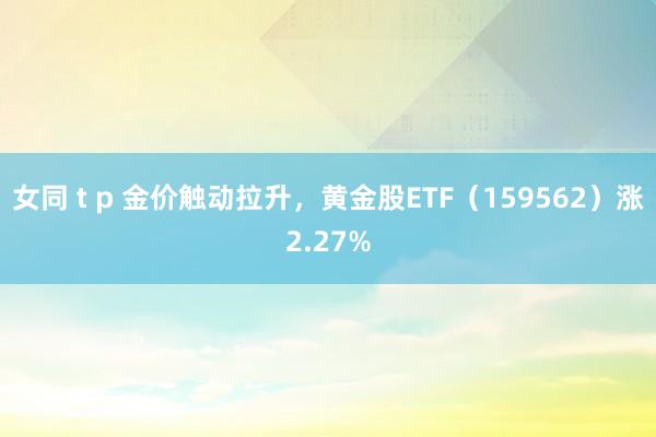 女同 t p 金价触动拉升，黄金股ETF（159562）涨2.27%