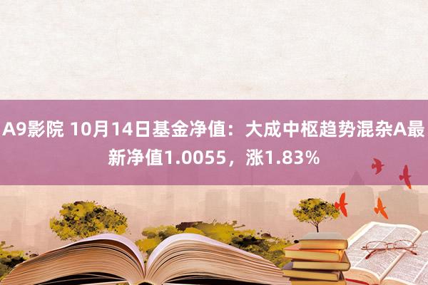 A9影院 10月14日基金净值：大成中枢趋势混杂A最新净值1.0055，涨1.83%