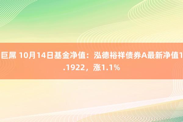 巨屌 10月14日基金净值：泓德裕祥债券A最新净值1.1922，涨1.1%