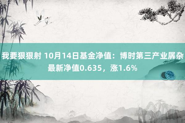 我要狠狠射 10月14日基金净值：博时第三产业羼杂最新净值0.635，涨1.6%