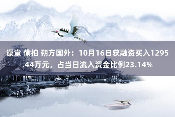 澡堂 偷拍 朔方国外：10月16日获融资买入1295.44万元，占当日流入资金比例23.14%