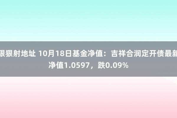 狠狠射地址 10月18日基金净值：吉祥合润定开债最新净值1.0597，跌0.09%