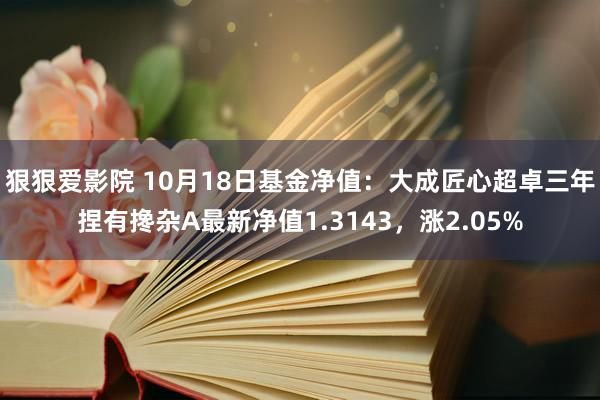 狠狠爱影院 10月18日基金净值：大成匠心超卓三年捏有搀杂A最新净值1.3143，涨2.05%