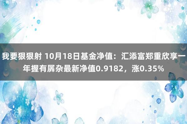 我要狠狠射 10月18日基金净值：汇添富郑重欣享一年握有羼杂最新净值0.9182，涨0.35%