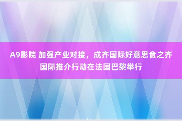 A9影院 加强产业对接，成齐国际好意思食之齐国际推介行动在法国巴黎举行