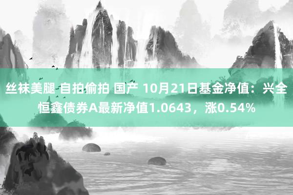 丝袜美腿 自拍偷拍 国产 10月21日基金净值：兴全恒鑫债券A最新净值1.0643，涨0.54%