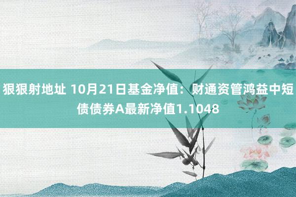 狠狠射地址 10月21日基金净值：财通资管鸿益中短债债券A最新净值1.1048