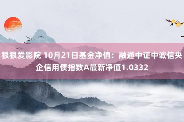 狠狠爱影院 10月21日基金净值：融通中证中诚信央企信用债指数A最新净值1.0332