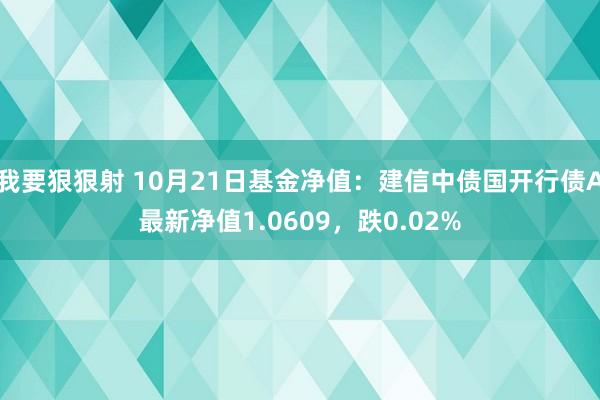 我要狠狠射 10月21日基金净值：建信中债国开行债A最新净值1.0609，跌0.02%