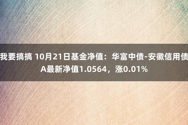 我要搞搞 10月21日基金净值：华富中债-安徽信用债A最新净值1.0564，涨0.01%