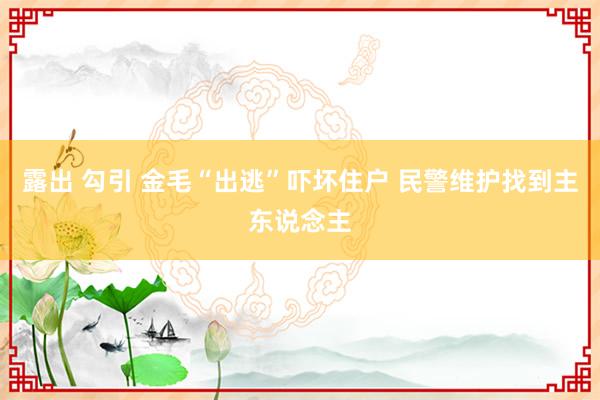 露出 勾引 金毛“出逃”吓坏住户 民警维护找到主东说念主