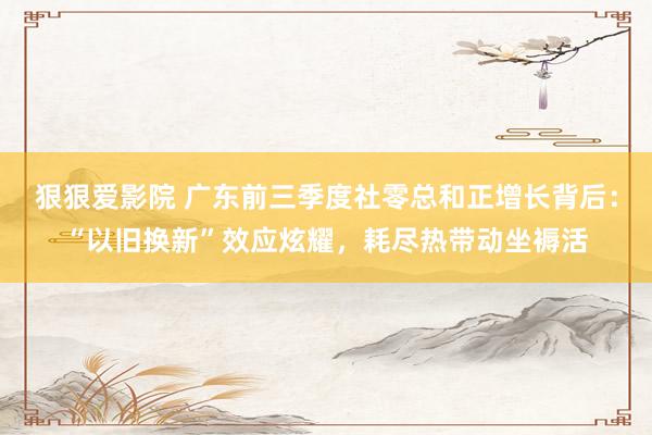 狠狠爱影院 广东前三季度社零总和正增长背后：“以旧换新”效应炫耀，耗尽热带动坐褥活