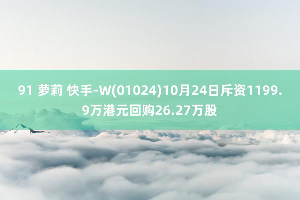 91 萝莉 快手-W(01024)10月24日斥资1199.9万港元回购26.27万股