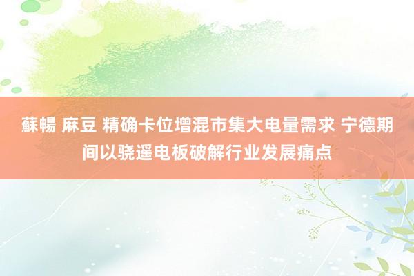 蘇暢 麻豆 精确卡位增混市集大电量需求 宁德期间以骁遥电板破解行业发展痛点