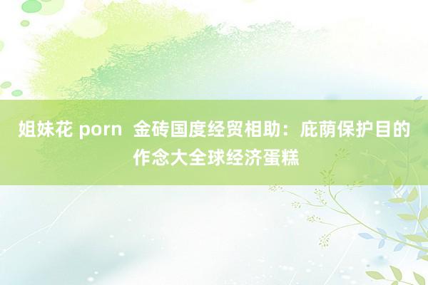 姐妹花 porn  金砖国度经贸相助：庇荫保护目的 作念大全球经济蛋糕