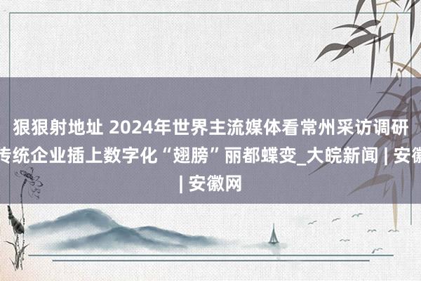 狠狠射地址 2024年世界主流媒体看常州采访调研｜传统企业插上数字化“翅膀”丽都蝶变_大皖新闻 | 安徽网