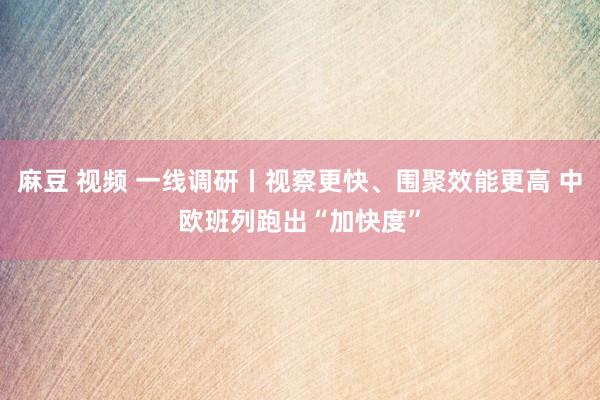 麻豆 视频 一线调研丨视察更快、围聚效能更高 中欧班列跑出“加快度”