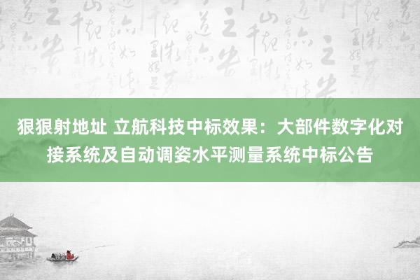 狠狠射地址 立航科技中标效果：大部件数字化对接系统及自动调姿水平测量系统中标公告