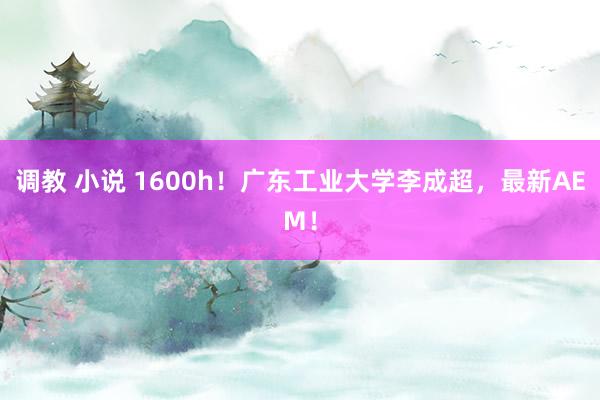 调教 小说 1600h！广东工业大学李成超，最新AEM！