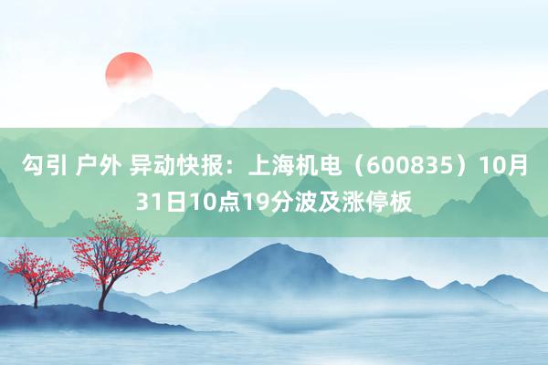 勾引 户外 异动快报：上海机电（600835）10月31日10点19分波及涨停板