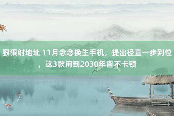 狠狠射地址 11月念念换生手机，提出径直一步到位，这3款用到2030年皆不卡顿