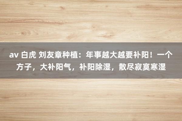 av 白虎 刘友章种植：年事越大越要补阳！一个方子，大补阳气，补阳除湿，散尽寂寞寒湿