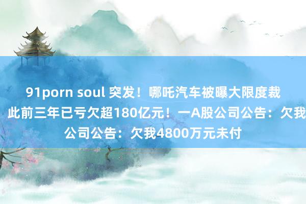 91porn soul 突发！哪吒汽车被曝大限度裁人，抵偿N+1，此前三年已亏欠超180亿元！一A股公司公告：欠我4800万元未付