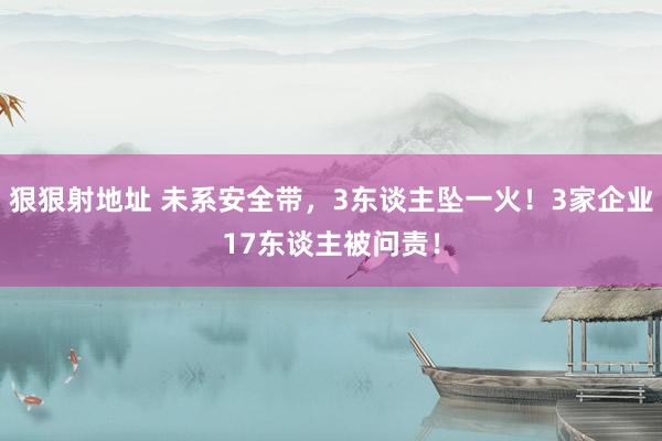 狠狠射地址 未系安全带，3东谈主坠一火！3家企业17东谈主被问责！