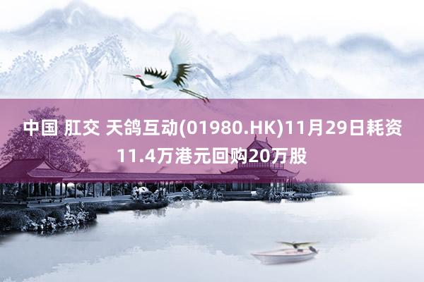 中国 肛交 天鸽互动(01980.HK)11月29日耗资11.4万港元回购20万股