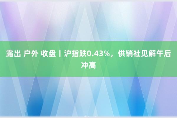 露出 户外 收盘丨沪指跌0.43%，供销社见解午后冲高