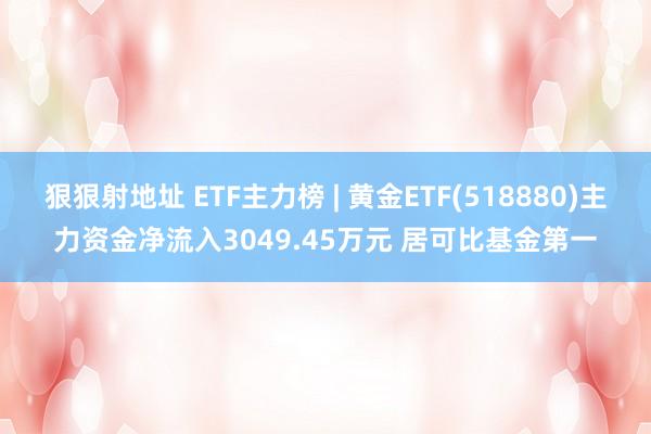 狠狠射地址 ETF主力榜 | 黄金ETF(518880)主力资金净流入3049.45万元 居可比基金第一